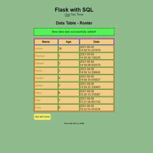 Flash Success Messaging